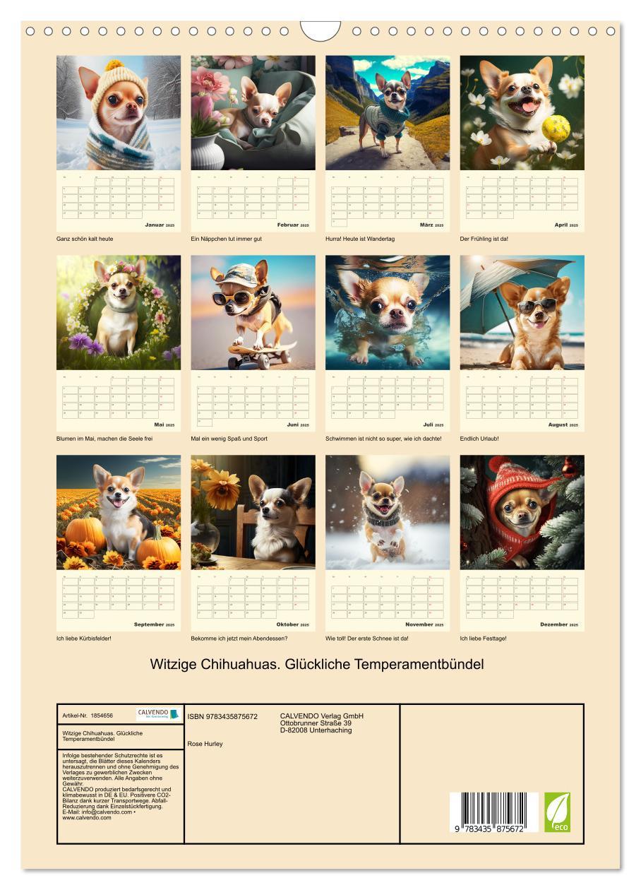 Bild: 9783435875672 | Witzige Chihuahuas. Glückliche Temperamentbündel (Wandkalender 2025...