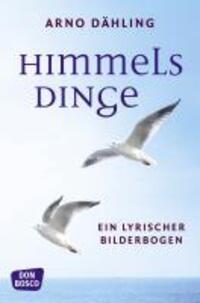 Cover: 9783769818451 | Himmelsdinge | Ein lyrischer Bilderbogen | Arno Dähling OFMCap | Buch
