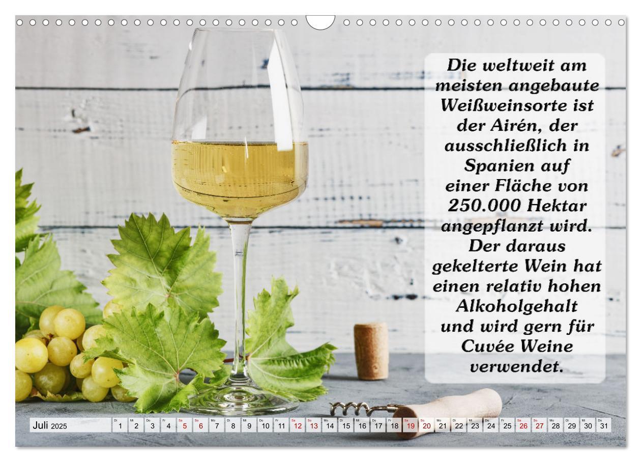 Bild: 9783435031979 | Wissenswertes über Wein (Wandkalender 2025 DIN A3 quer), CALVENDO...