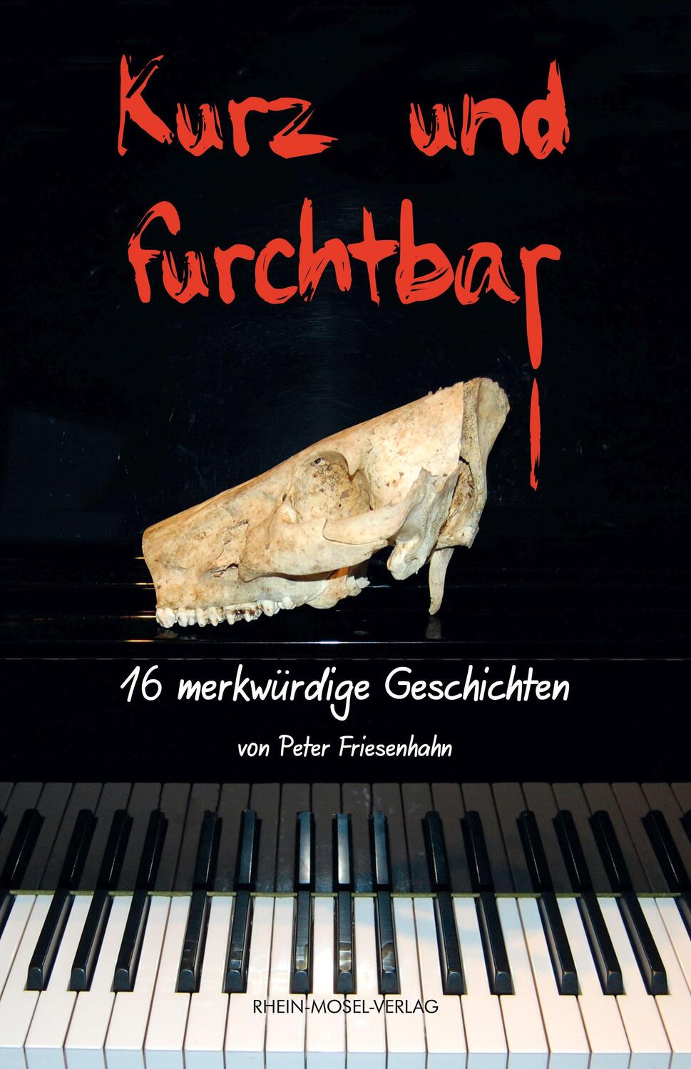 Cover: 9783898014489 | Kurz und furchtbar | 16 merkwürdige Geschichten | Peter Friesenhahn
