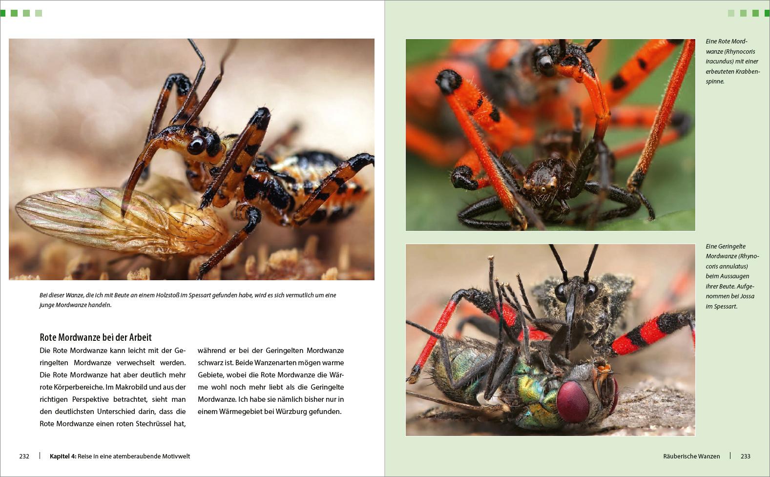 Bild: 9783832803445 | Extreme Wildlife-Makrofotografie | Alexander Mett | Buch | 288 S.