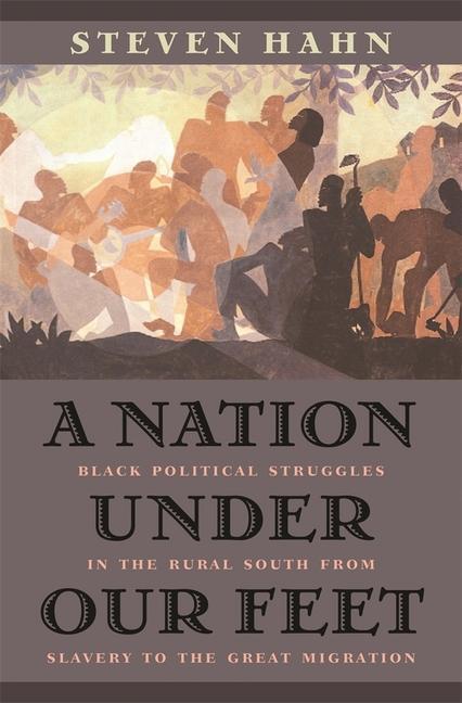 Cover: 9780674017658 | A Nation under Our Feet | Steven Hahn | Taschenbuch | Englisch | 2005
