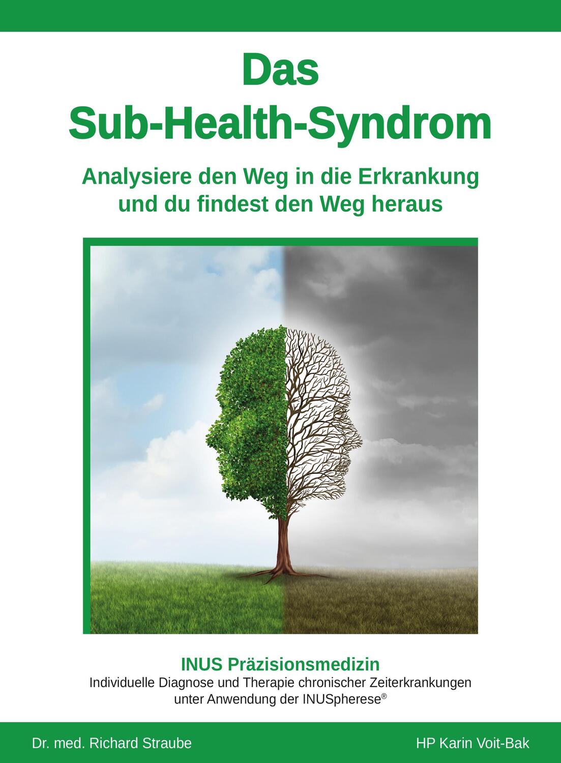 Cover: 9783948309084 | Das Sub-Health-Syndrom | Karin Voit-Bak (u. a.) | Taschenbuch | 341 S.