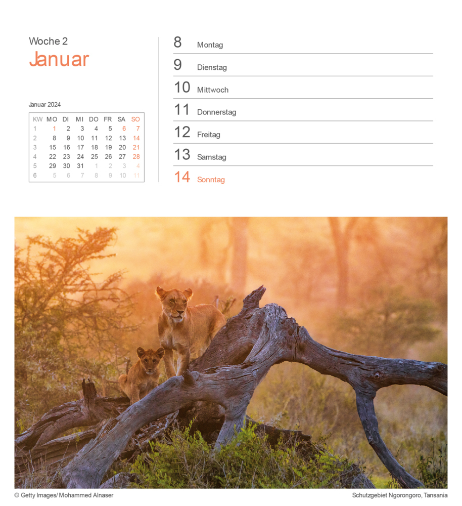 Bild: 9783965912991 | Das Naturerbe der Welt - KUNTH Postkartenkalender 2024 | Kalender