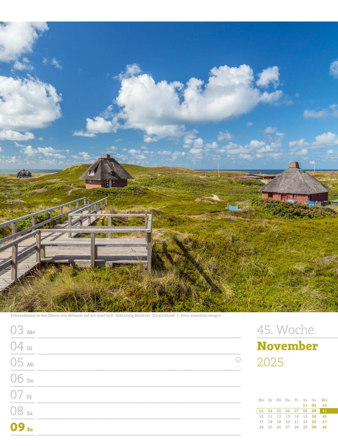 Bild: 9783838435039 | Am Meer - Wochenplaner Kalender 2025 | Ackermann Kunstverlag | 56 S.