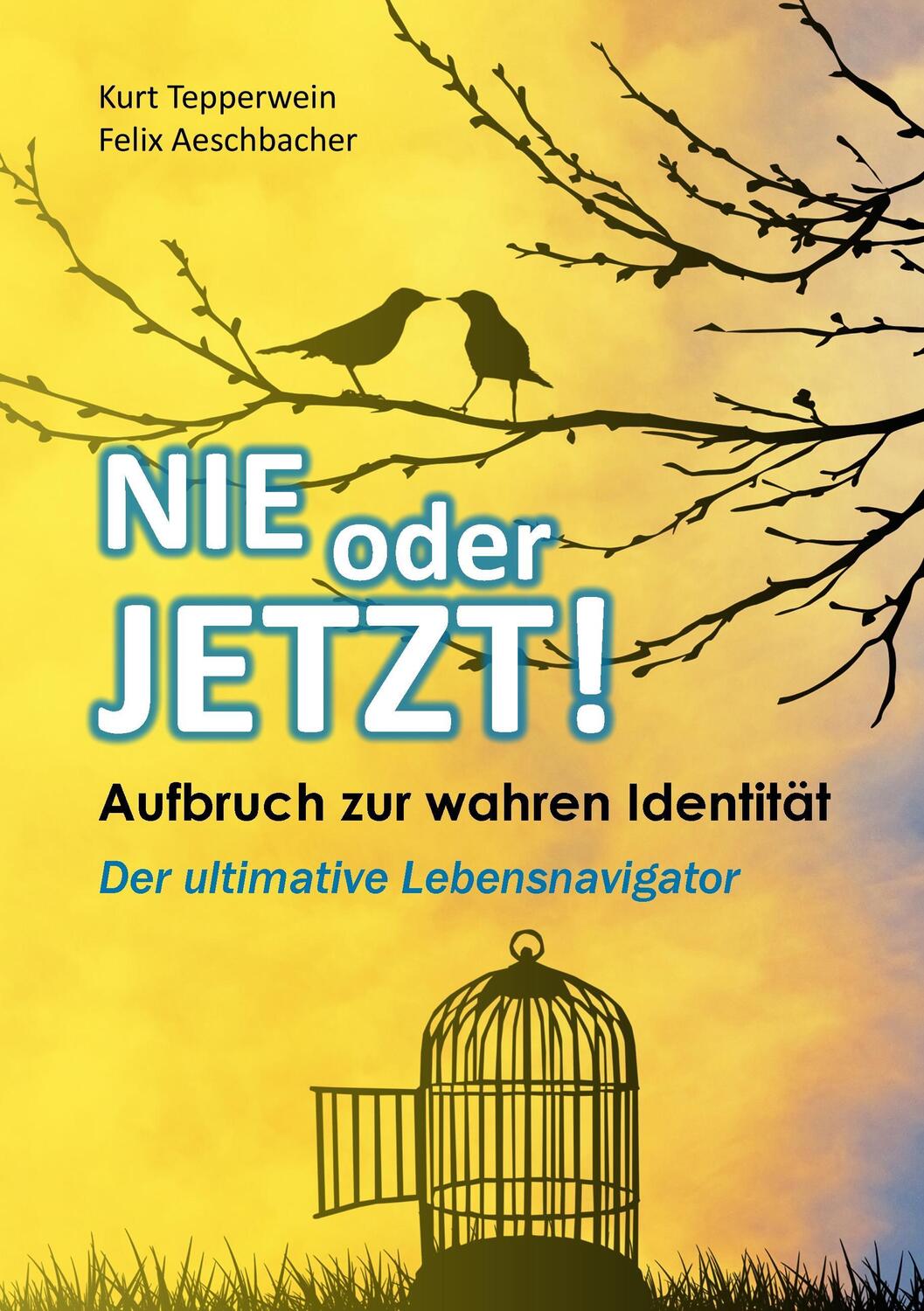 Cover: 9783735779250 | Nie oder Jetzt! Aufbruch zur wahren Identität | Tepperwein (u. a.)