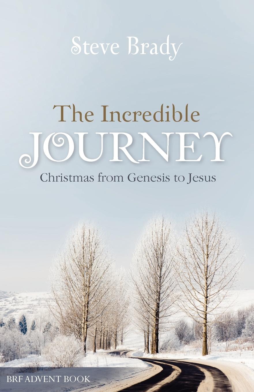 Cover: 9780857460035 | The Incredible Journey | Steve Brady | Taschenbuch | Englisch | 2011