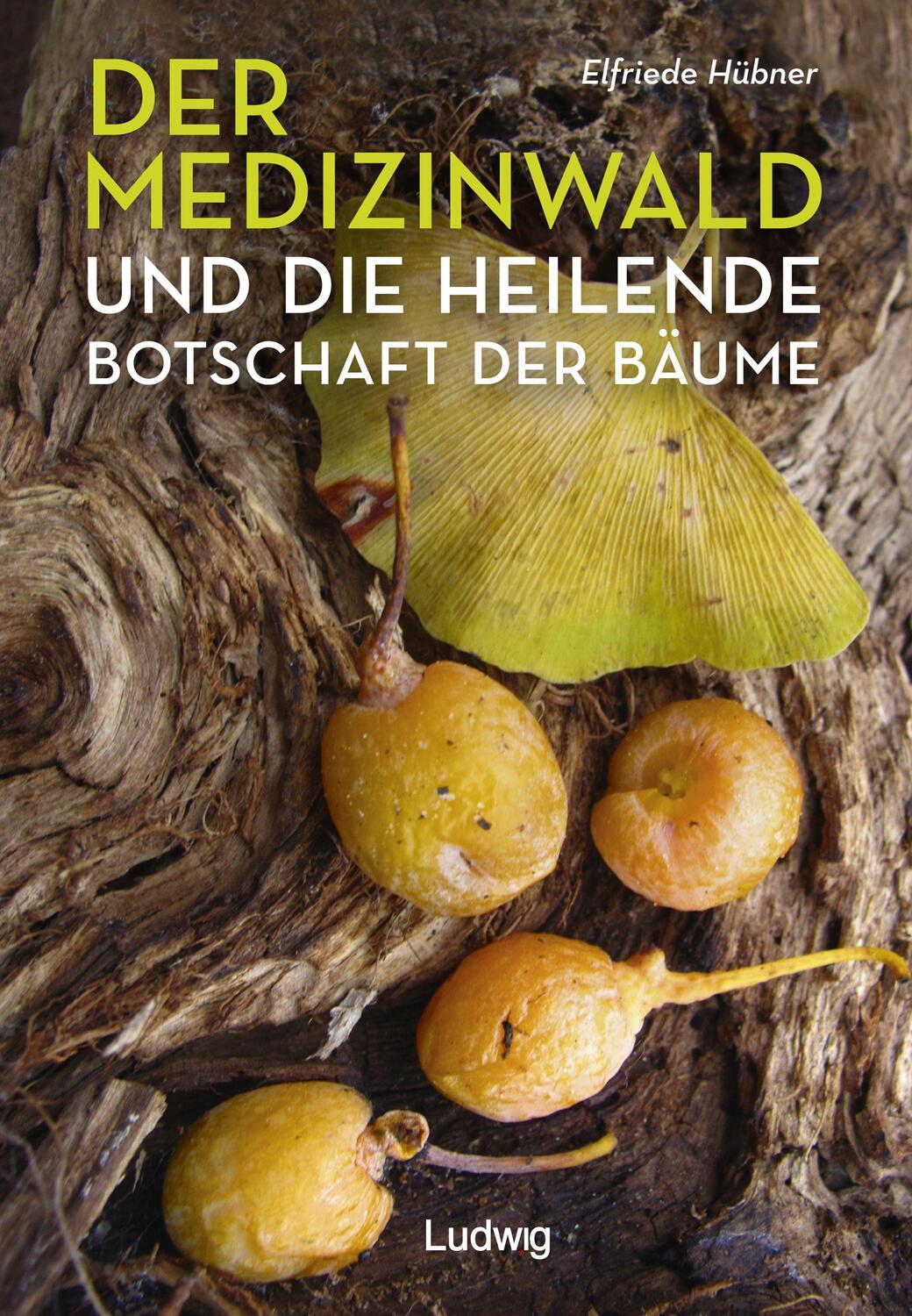 Cover: 9783869354323 | Der Medizinwald und die heilende Botschaft der Bäume. | Hübner | Buch