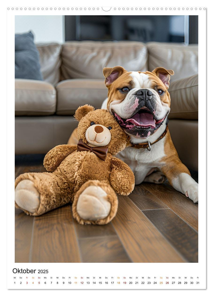 Bild: 9783457175811 | Englische Bulldogge - sanfter Kumpel (hochwertiger Premium...