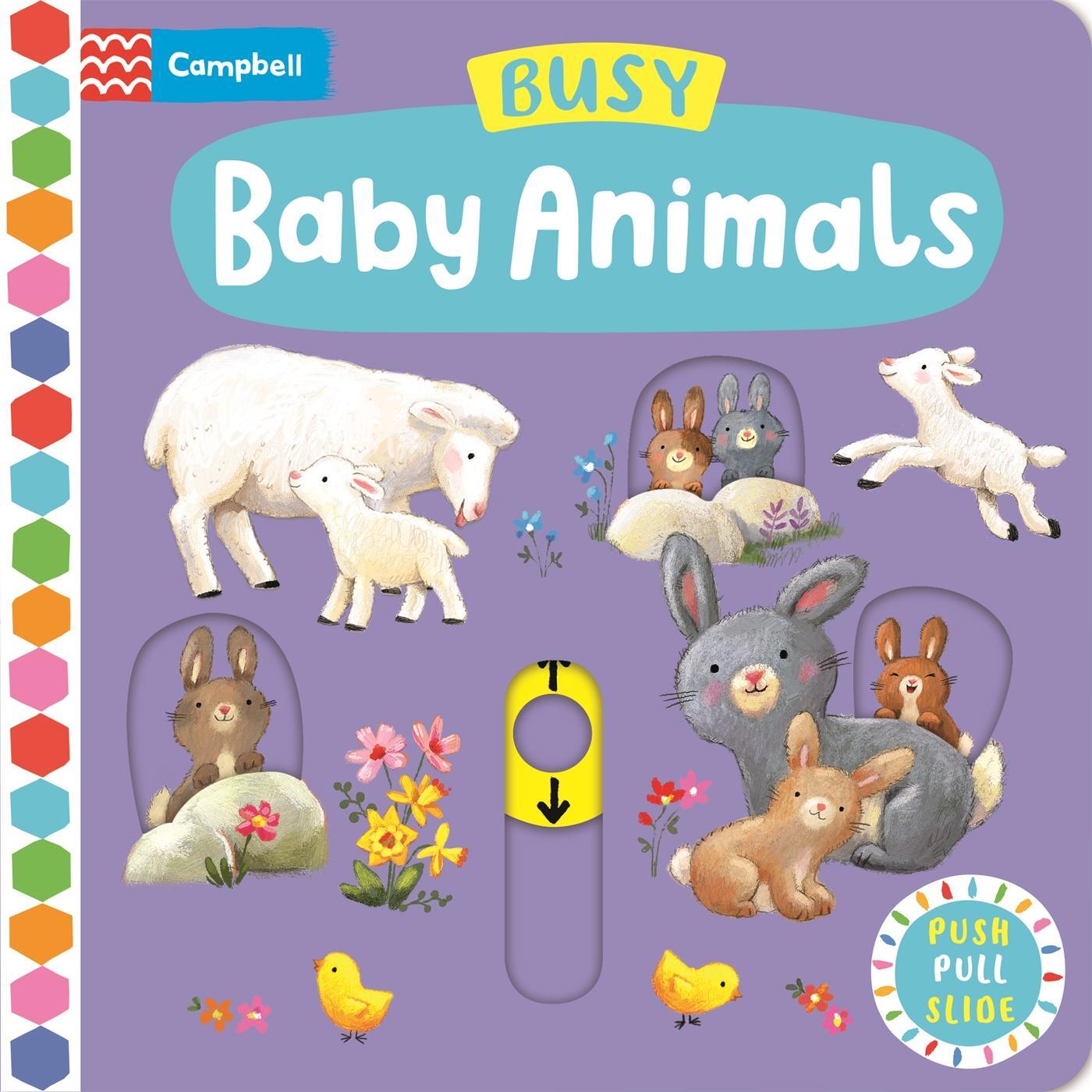 Cover: 9781035004706 | Busy Baby Animals | Ag Jatkowska | Buch | Papp-Bilderbuch | Englisch