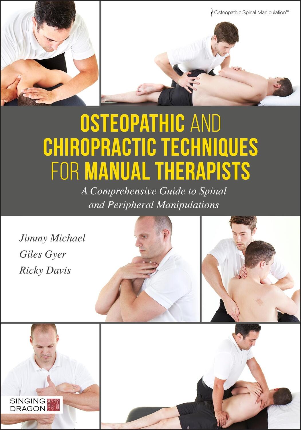Cover: 9781848193260 | Osteopathic and Chiropractic Techniques for Manual Therapists | Buch