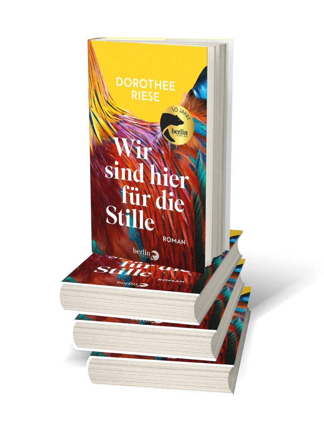 Bild: 9783827014931 | Wir sind hier für die Stille | Dorothee Riese | Buch | 240 S. | 2024