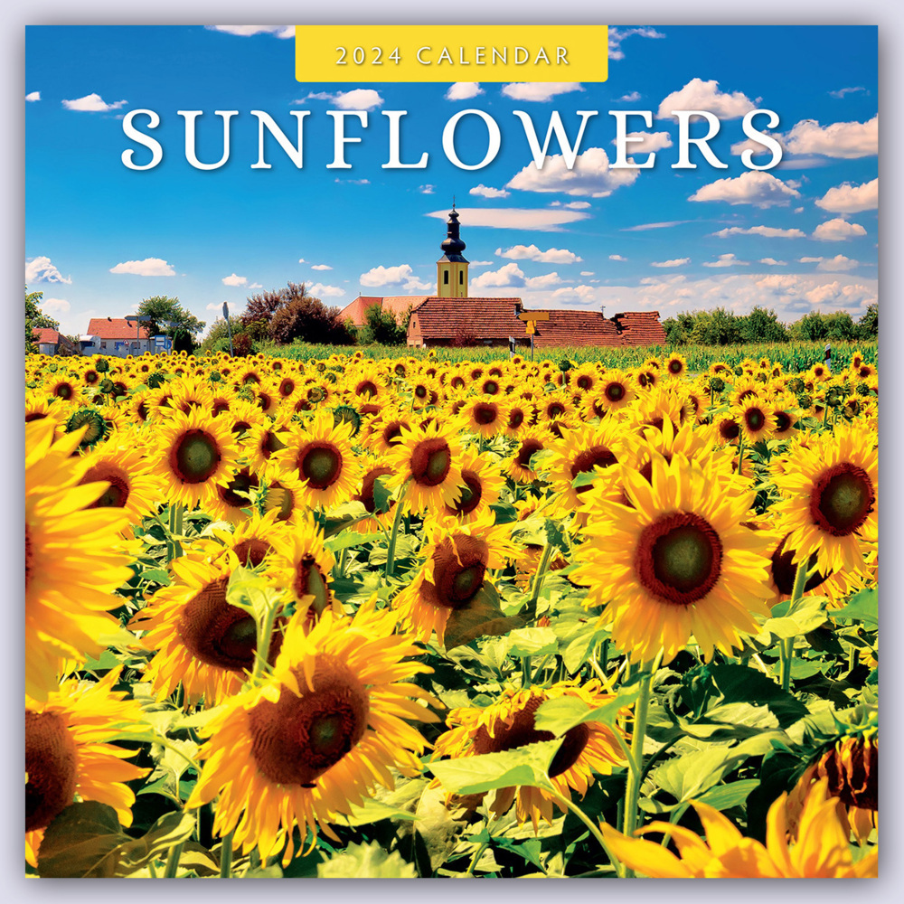 Cover: 9781804422021 | Sunflowers - Sonnenblumen 2024 - 16-Monatskalender | Ltd | Kalender