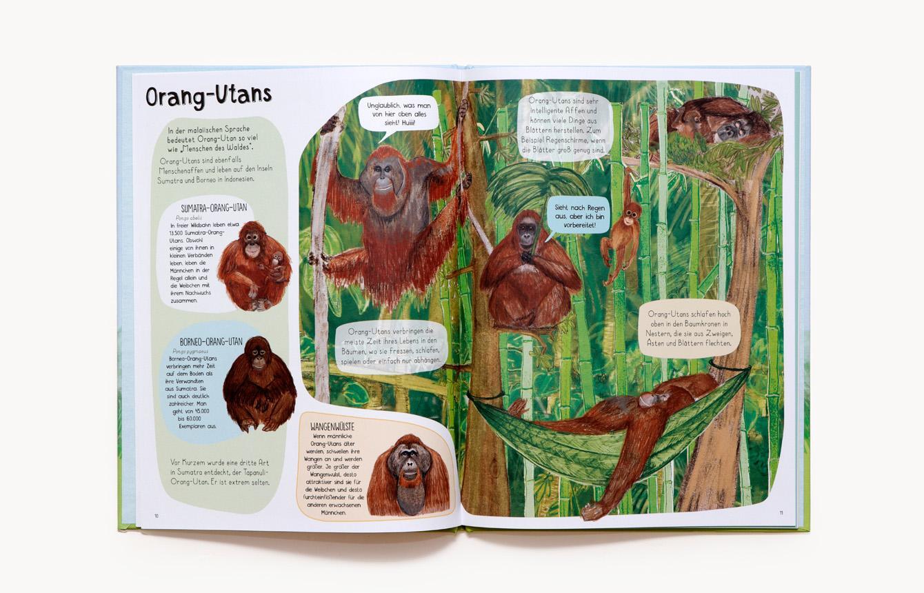 Bild: 9783962443016 | Das Affen-Buch | Zu Besuch bei Primaten aus aller Welt | Katie Viggers