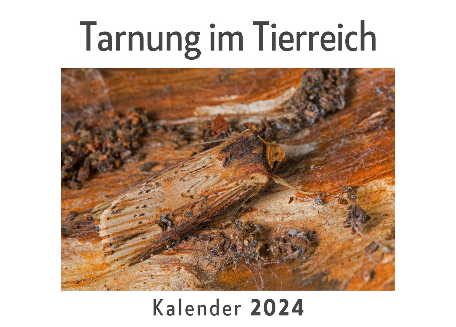 Cover: 9783750545083 | Tarnung im Tierreich (Wandkalender 2024, Kalender DIN A4 quer,...