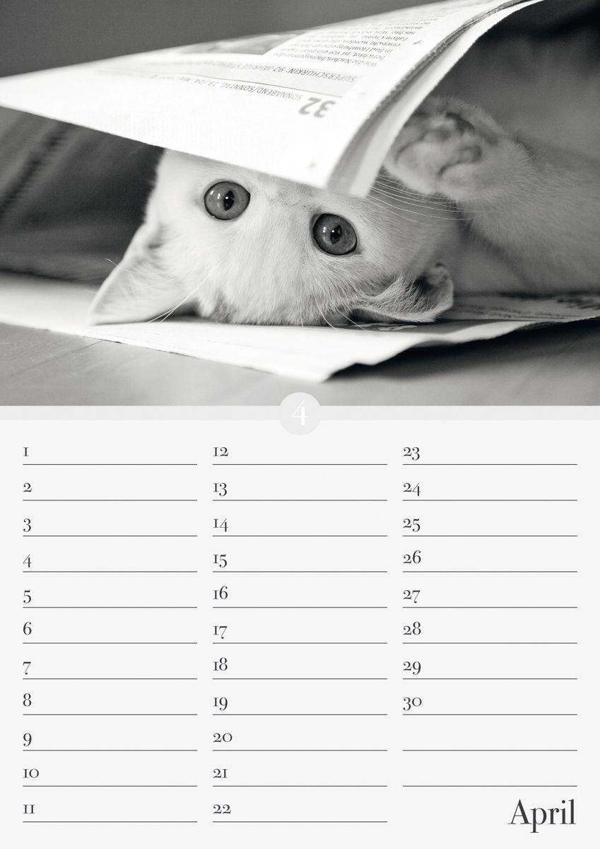 Bild: 9783840737169 | Geburtstagskalender Katzenwelt immerwährend | ALPHA EDITION | Kalender