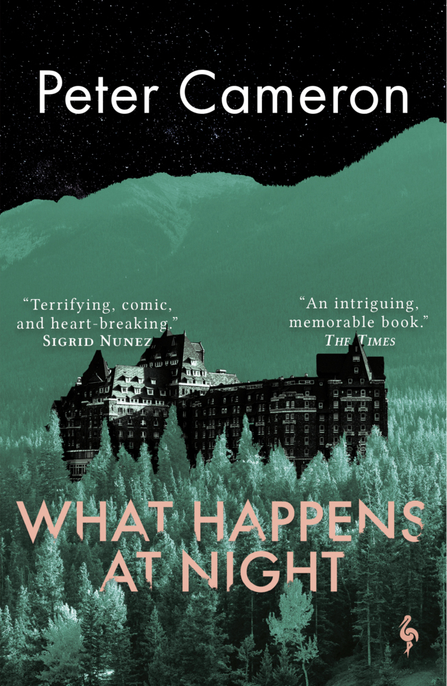 Cover: 9781787704244 | What Happens at Night | Peter Cameron | Taschenbuch | Englisch | 2022