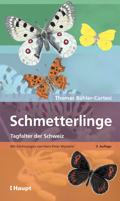 Cover: 9783258081250 | Schmetterlinge | Tagfalter der Schweiz | Thomas Bühler-Cortesi | Buch
