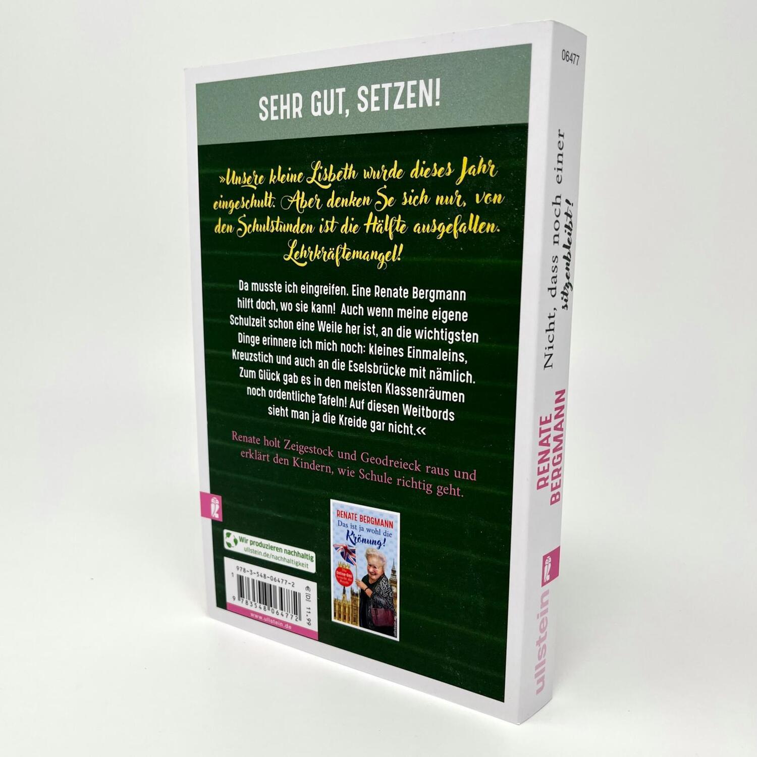 Bild: 9783548064772 | Nicht, dass noch einer sitzenbleibt! | Renate Bergmann | Taschenbuch