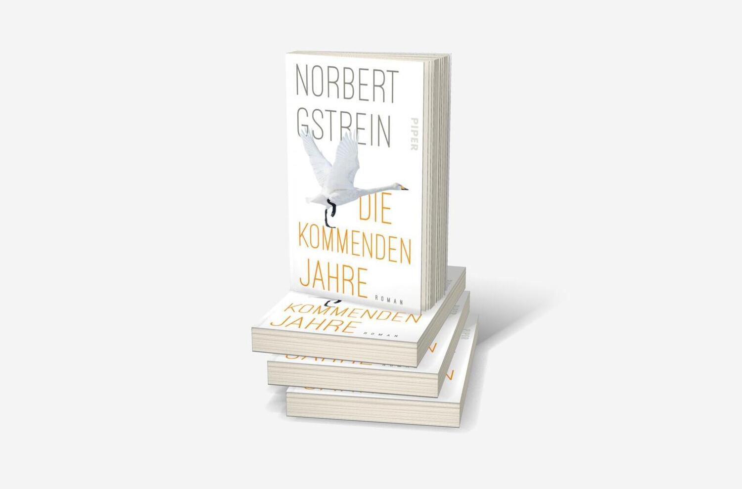 Bild: 9783492317290 | Die kommenden Jahre | Norbert Gstrein | Taschenbuch | 288 S. | Deutsch