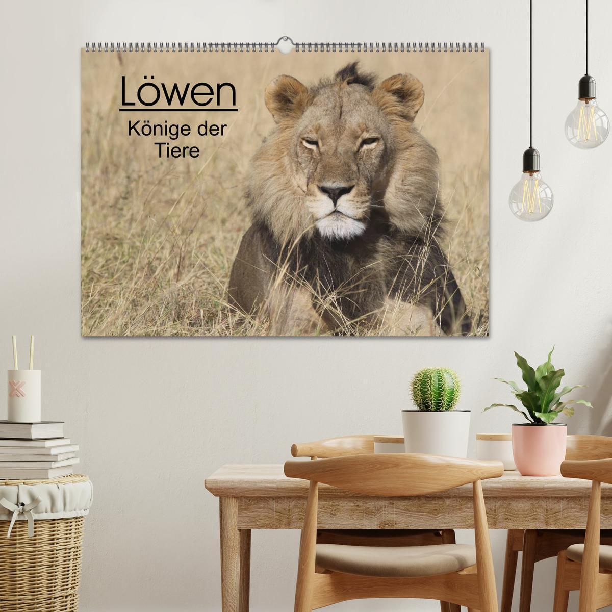 Bild: 9783435837397 | Löwen - Könige der Tiere (Wandkalender 2025 DIN A2 quer), CALVENDO...