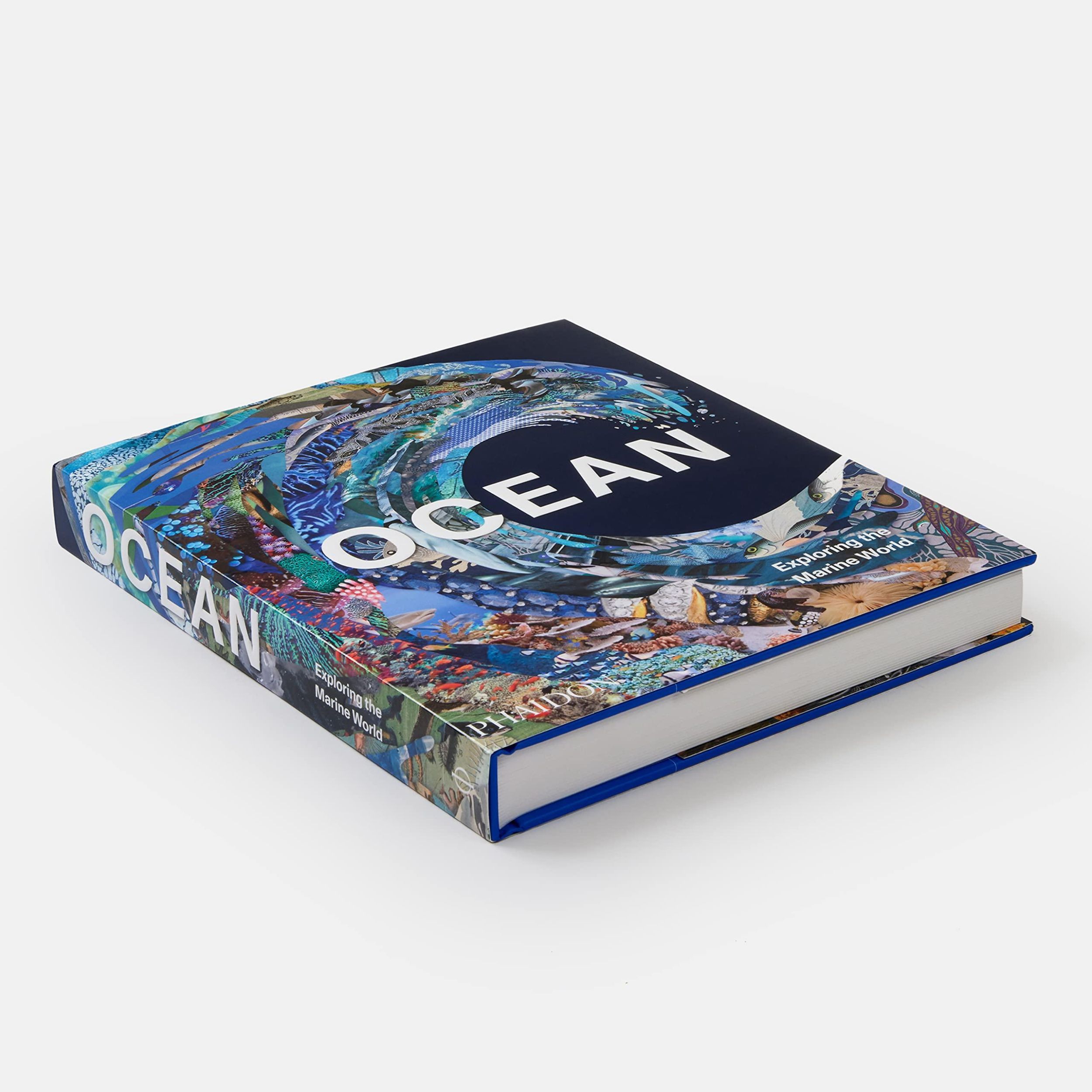 Bild: 9781838664787 | Ocean | Exploring the Marine World | Editors Phaidon (u. a.) | Buch