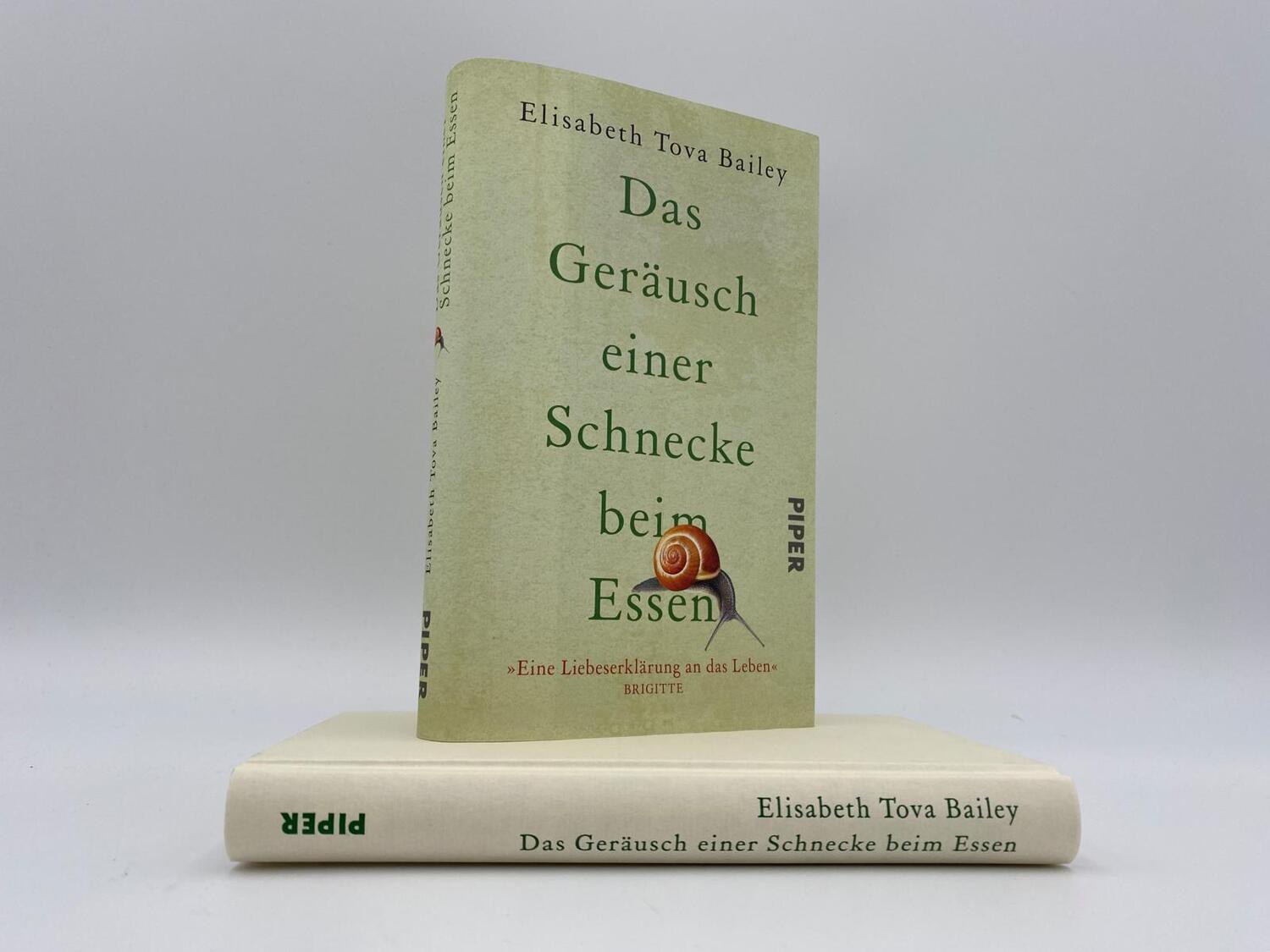 Bild: 9783492071567 | Das Geräusch einer Schnecke beim Essen | Elisabeth Tova Bailey | Buch