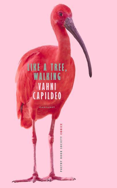 Cover: 9781800171954 | Like a Tree, Walking | Vahni Capildeo | Taschenbuch | Englisch | 2021