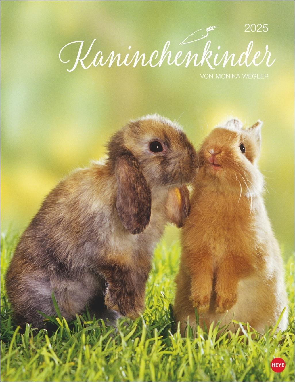 Cover: 9783756405312 | Kaninchenkinder Posterkalender 2025 | Kalender | Spiralbindung | 14 S.