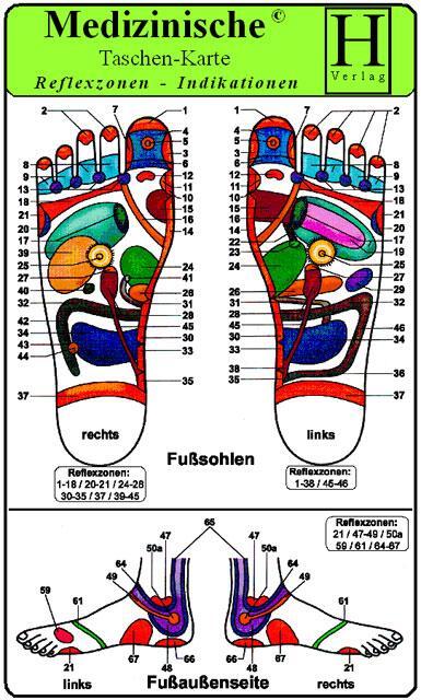 Cover: 9783939081678 | Reflexzonen Indikationen -Füße- ( 4 Karten-Set ). Medizinische...