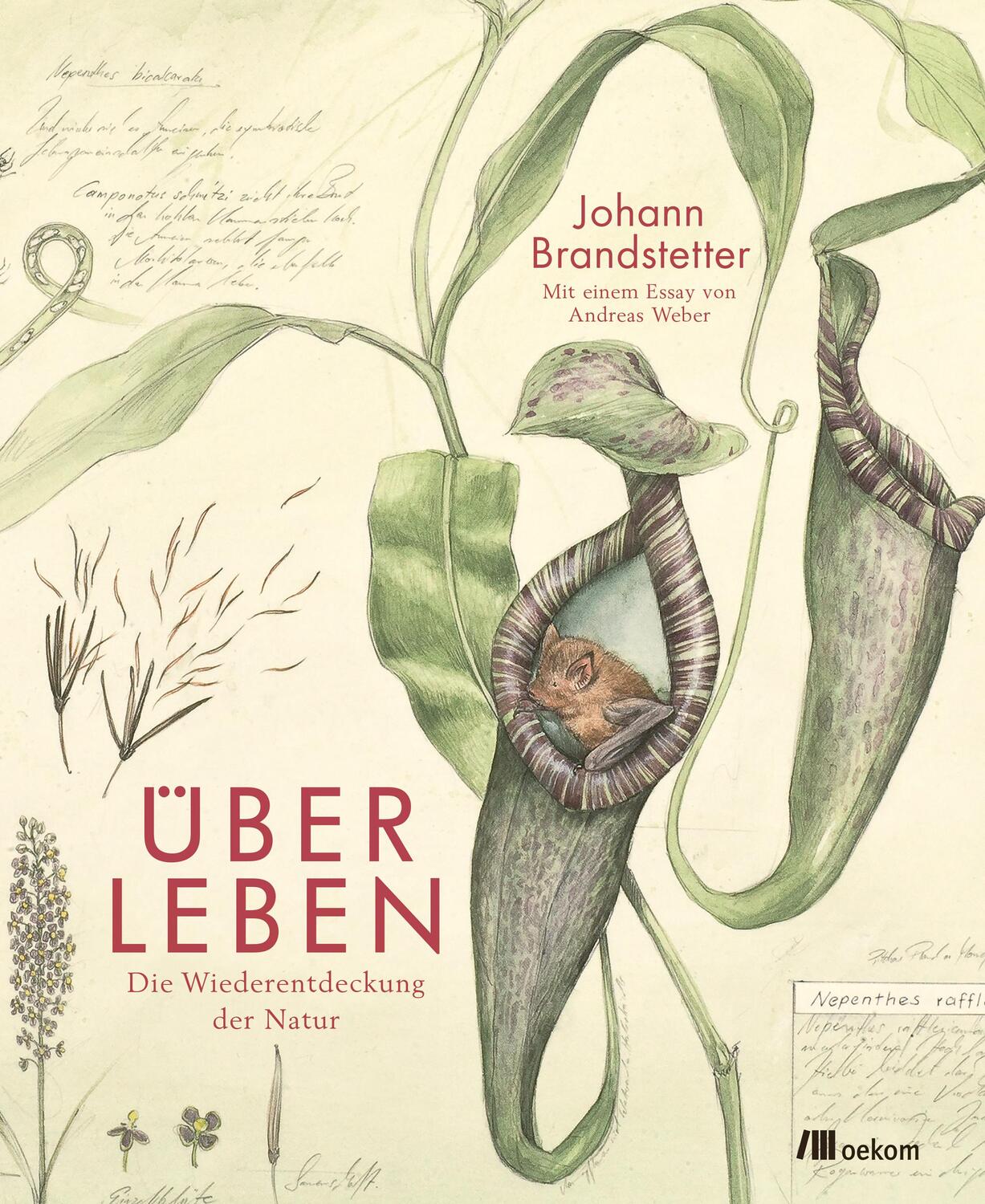 Cover: 9783962381332 | Über Leben | Die Wiederentdeckung der Natur | Brandstetter (u. a.)