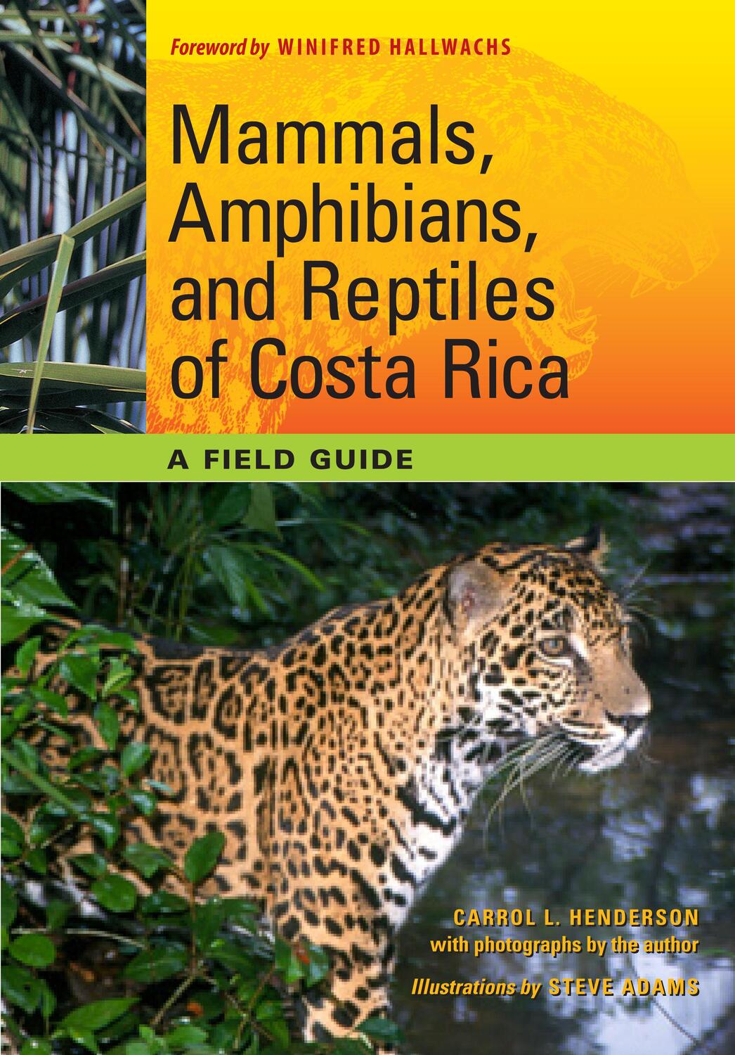 Cover: 9780292722743 | Mammals, Amphibians, and Reptiles of Costa Rica | A Field Guide | Buch