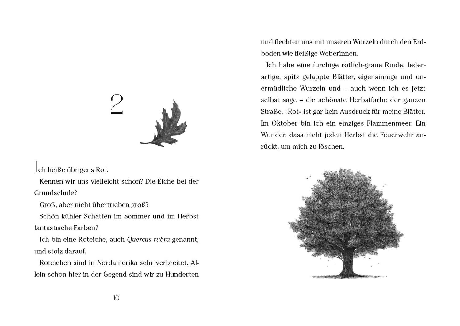 Bild: 9783764151485 | Baum der Wünsche | Katherine Applegate | Buch | 224 S. | Deutsch