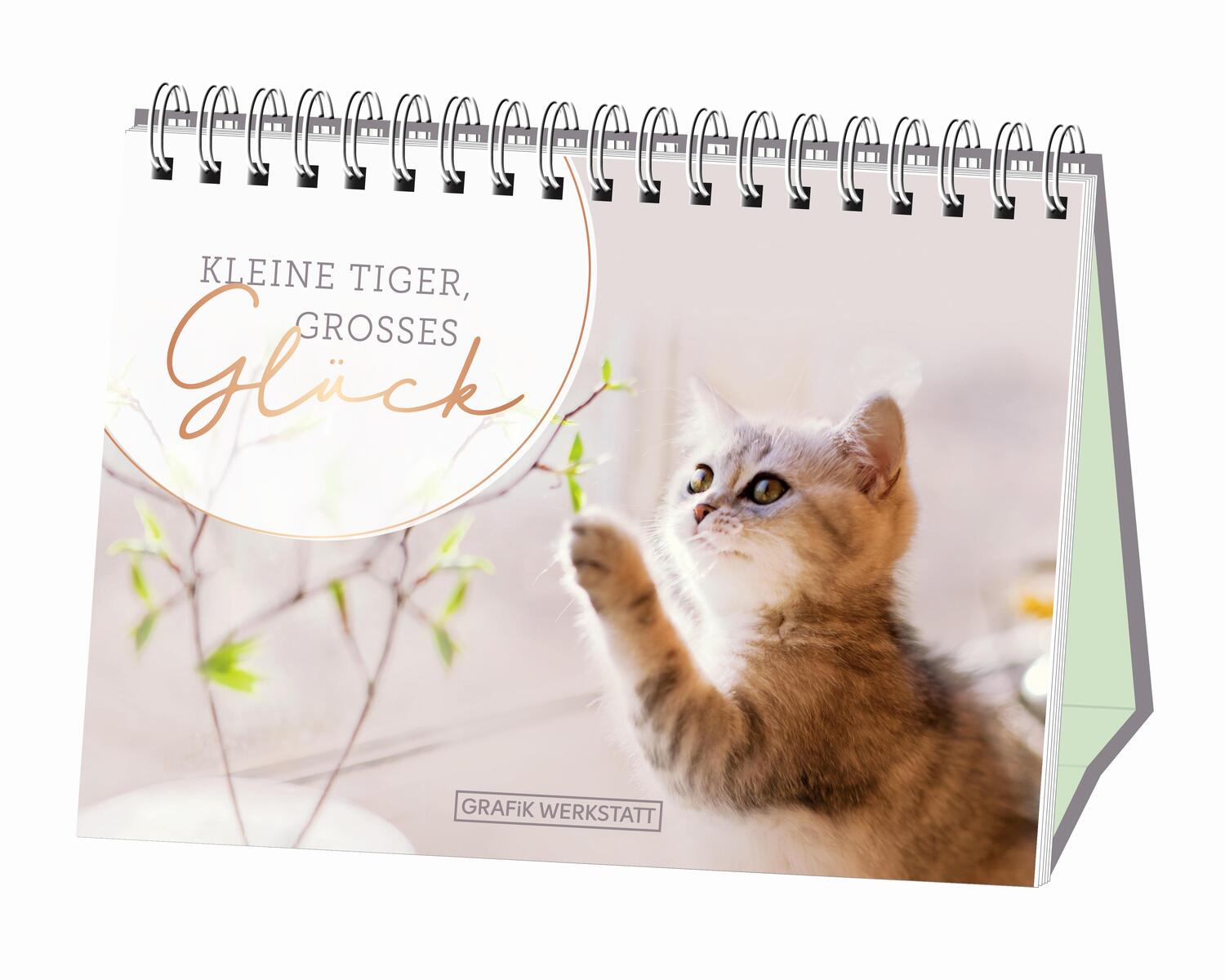 Cover: 9783862297108 | Kleine Tiger, großes Glück! | Spiralbuch | Taschenbuch | 52 S. | 2019