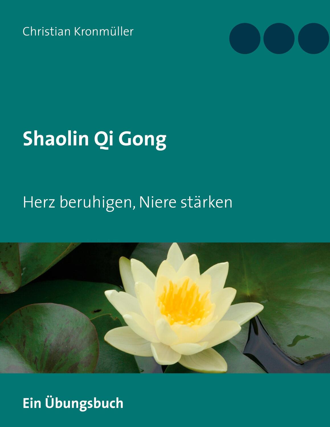 Cover: 9783751979740 | Shaolin Qi Gong | Herz beruhigen, Niere stärken | Christian Kronmüller