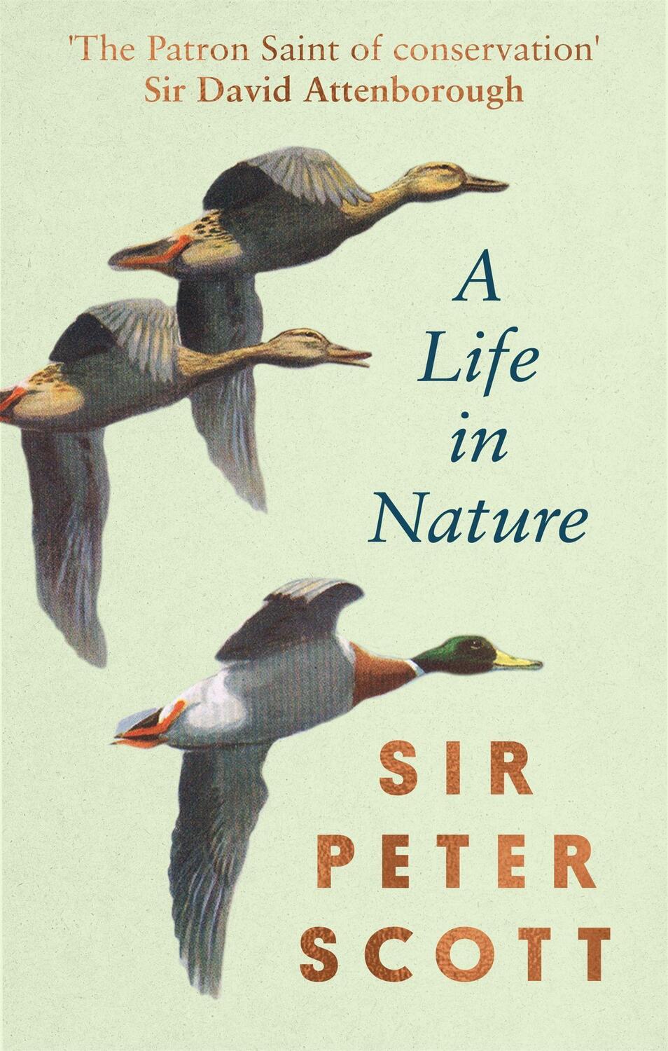 Cover: 9780751583359 | A Life In Nature | Peter Scott | Buch | Gebunden | Englisch | 2021