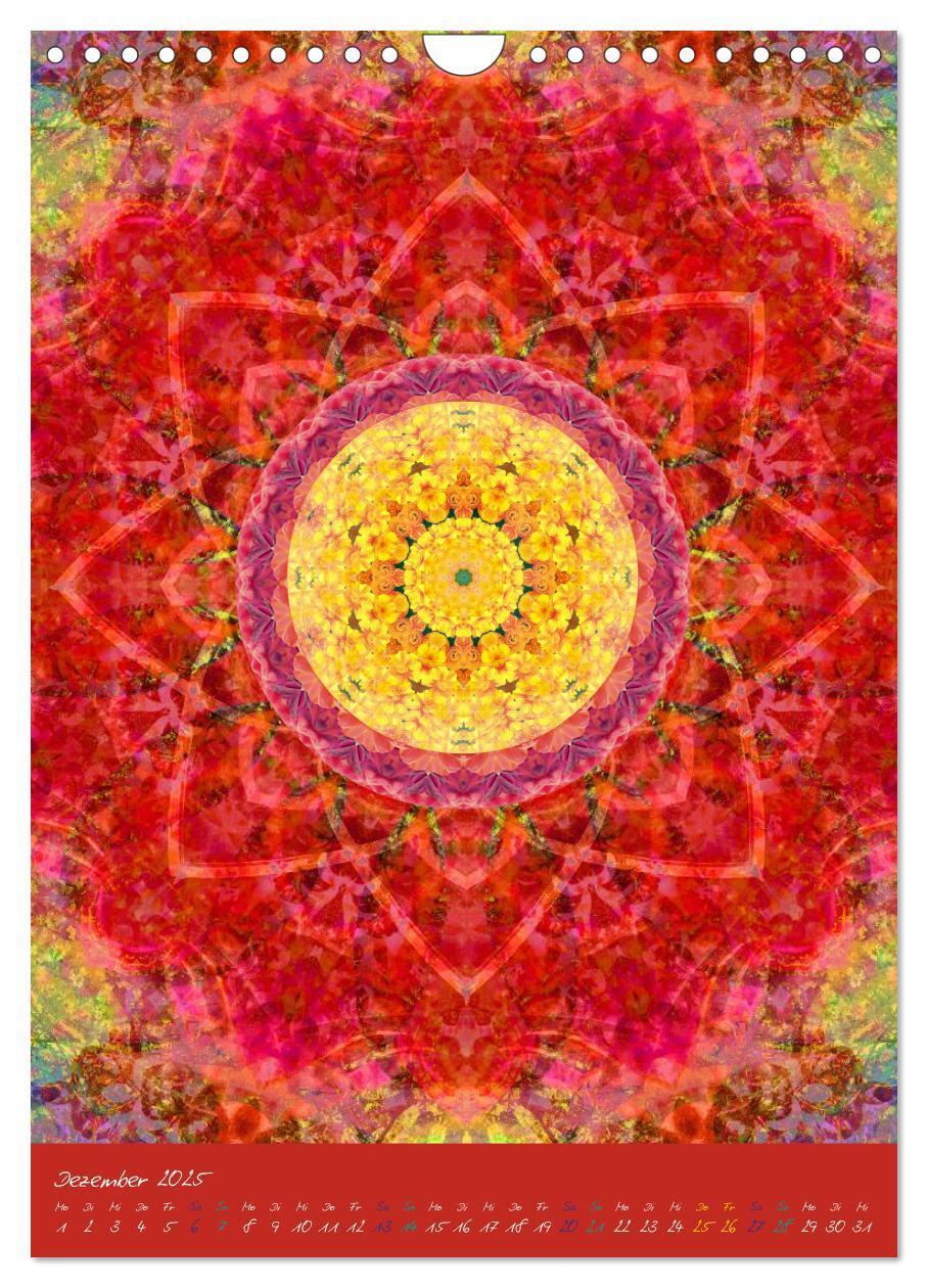 Bild: 9783457043004 | MANDALAS der Natur (Wandkalender 2025 DIN A4 hoch), CALVENDO...