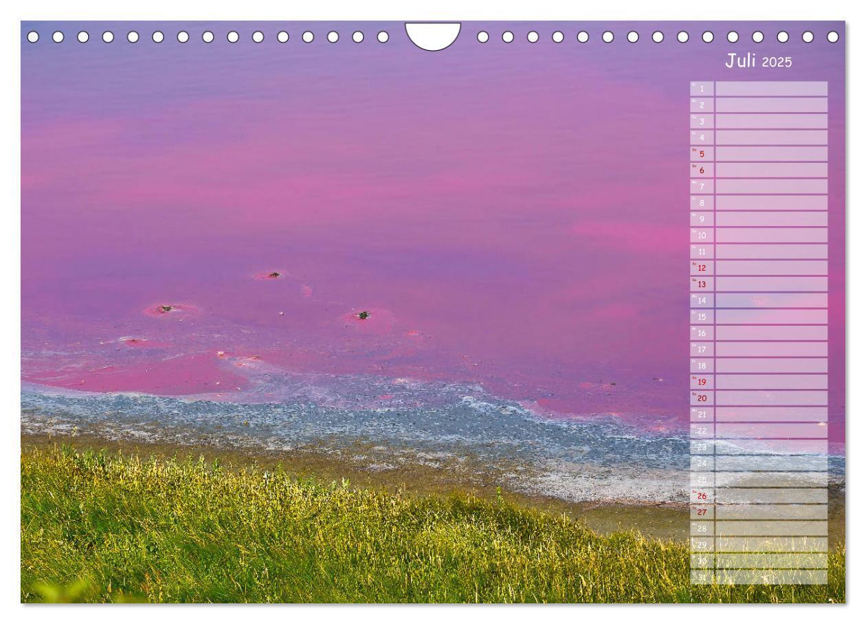 Bild: 9783435359097 | Ein Sommer auf Texel (Wandkalender 2025 DIN A4 quer), CALVENDO...