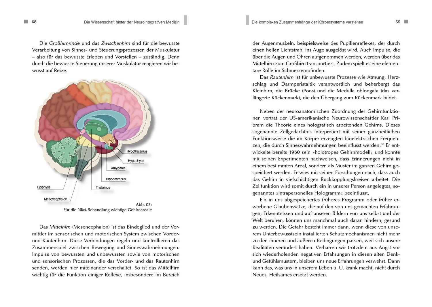 Bild: 9783938580776 | NeuroIntegrative Medizin: Durch körpereigene Intelligenz die...