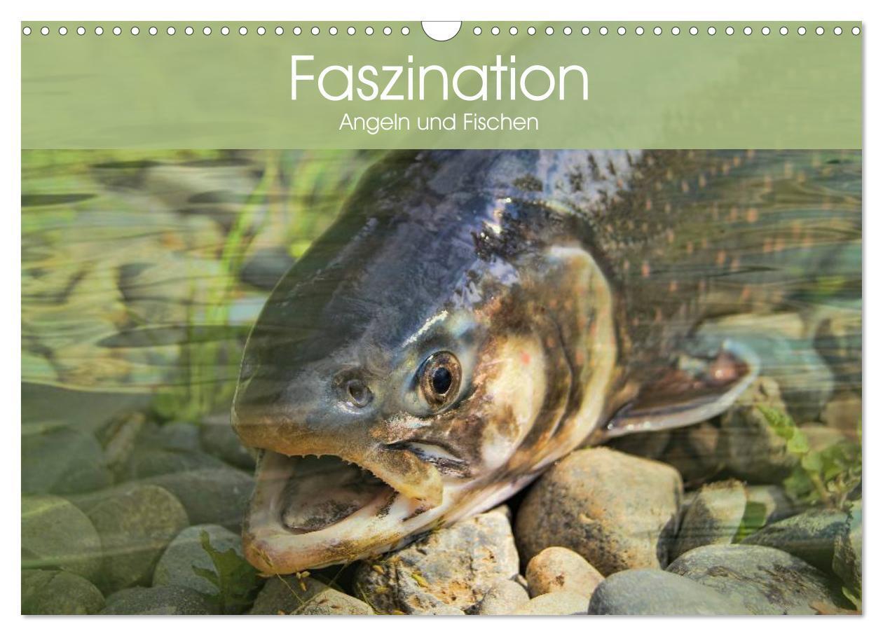 Cover: 9783383279256 | Faszination Angeln und Fischen (Wandkalender 2024 DIN A3 quer),...
