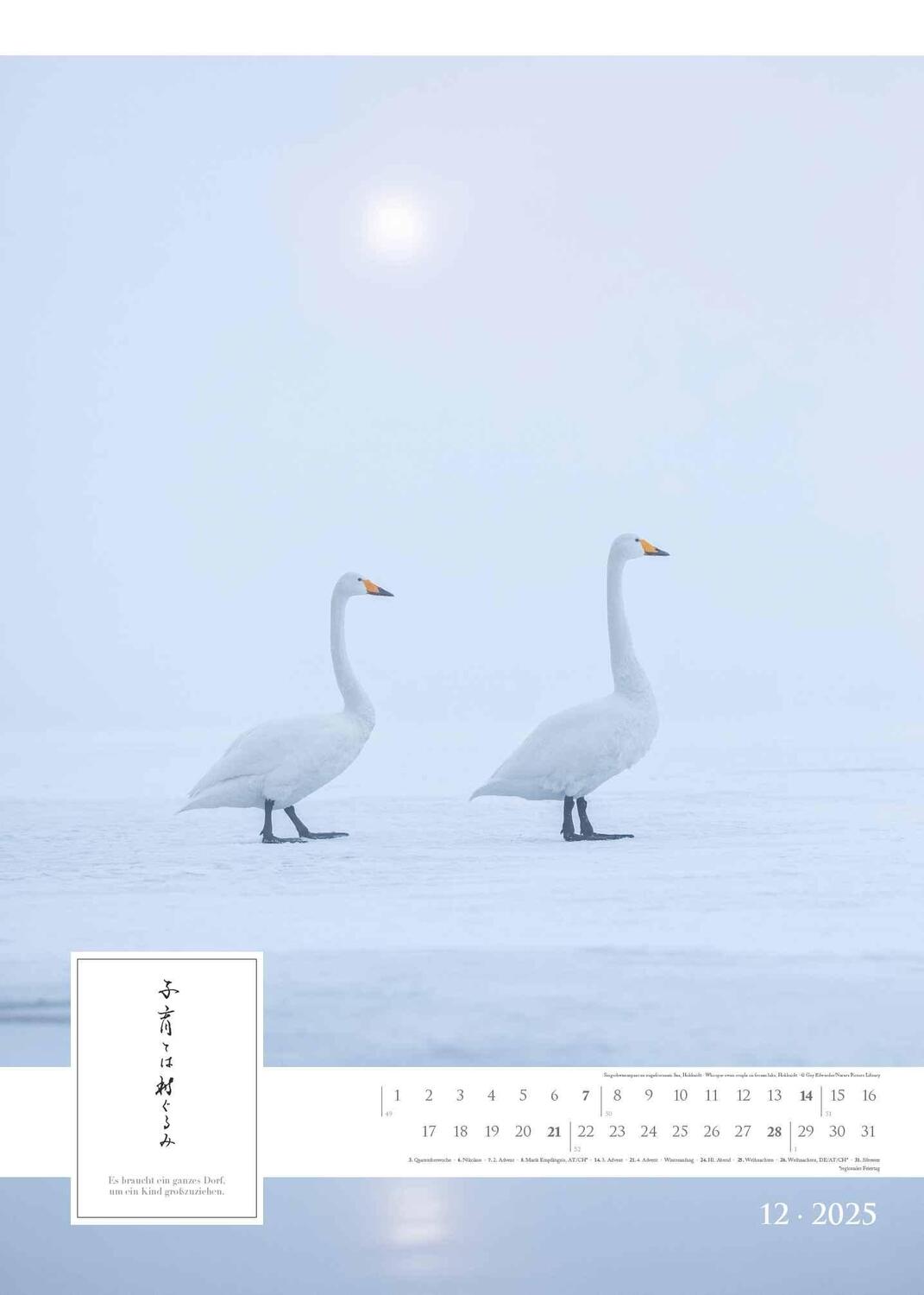 Bild: 4251732342272 | Spirit of Japan 2025 - Bildkalender XXL 50x70 cm - mit japanischer...