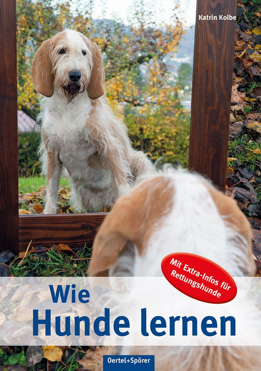 Cover: 9783886278732 | Wie Hunde lernen | Mit Extra-Infos für Rettungshunde | Katrin Kolbe