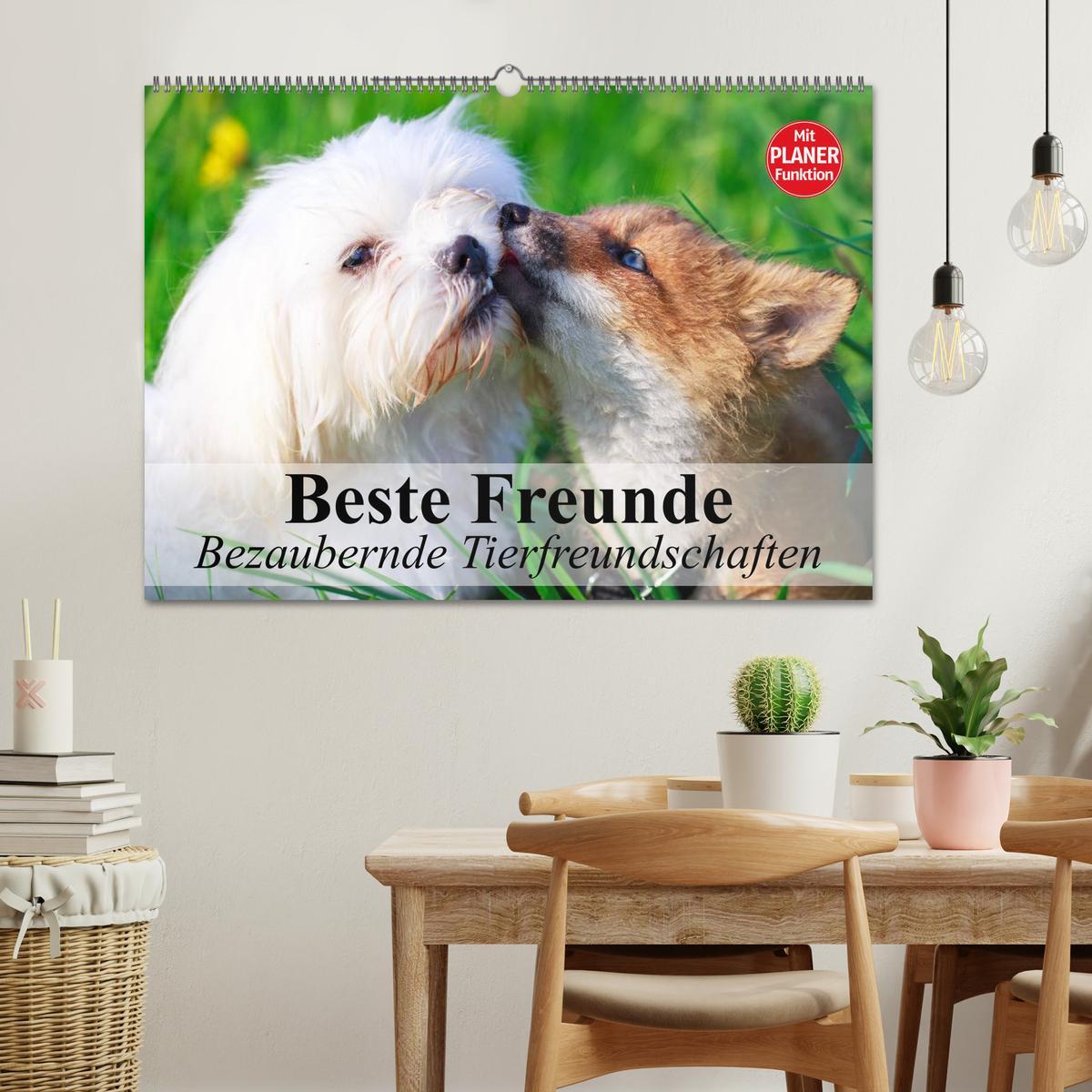 Bild: 9783435514786 | Beste Freunde. Bezaubernde Tierfreundschaften (Wandkalender 2025...