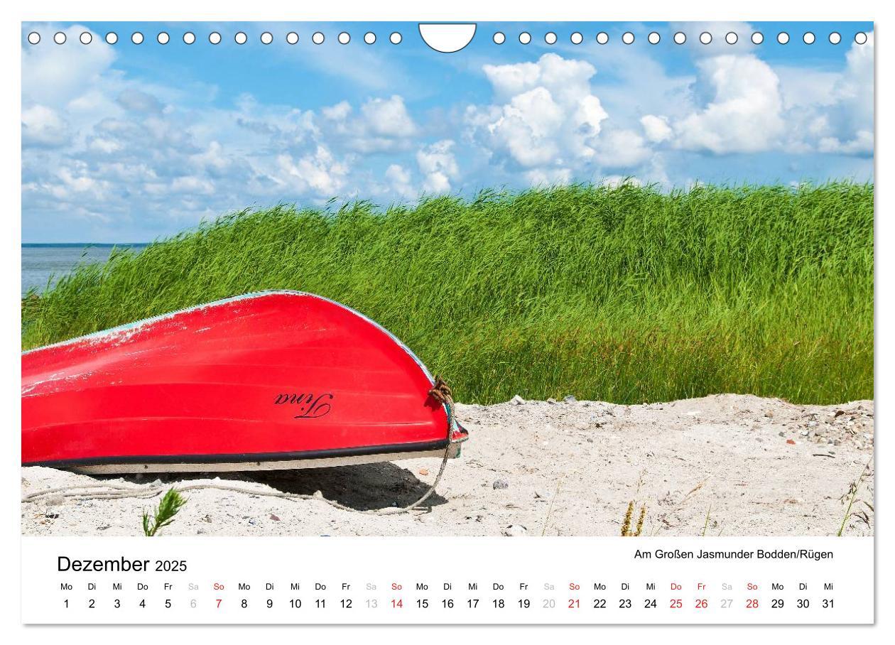 Bild: 9783435693924 | Rügen und Hiddensee (Wandkalender 2025 DIN A4 quer), CALVENDO...