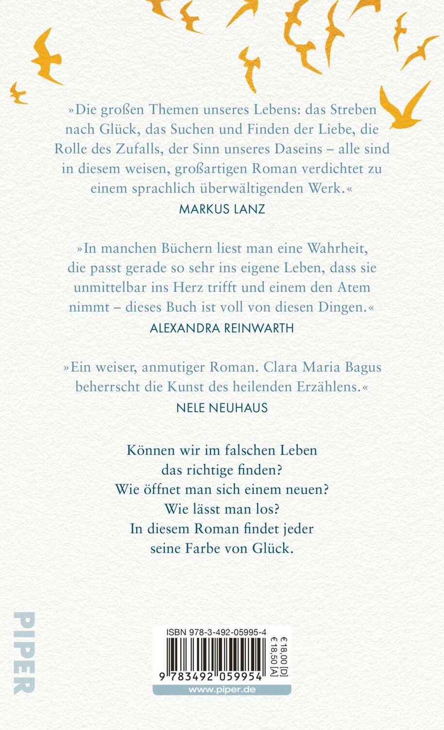 Rückseite: 9783492059954 | Die Farbe von Glück | Clara Maria Bagus | Buch | 352 S. | Deutsch