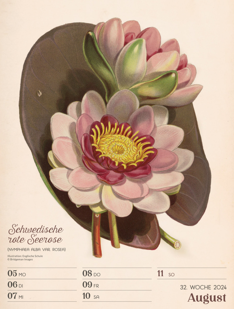 Bild: 9783838434124 | Ars Floralis - Vintage Wochenplaner Kalender 2024 | Kunstverlag | 2024
