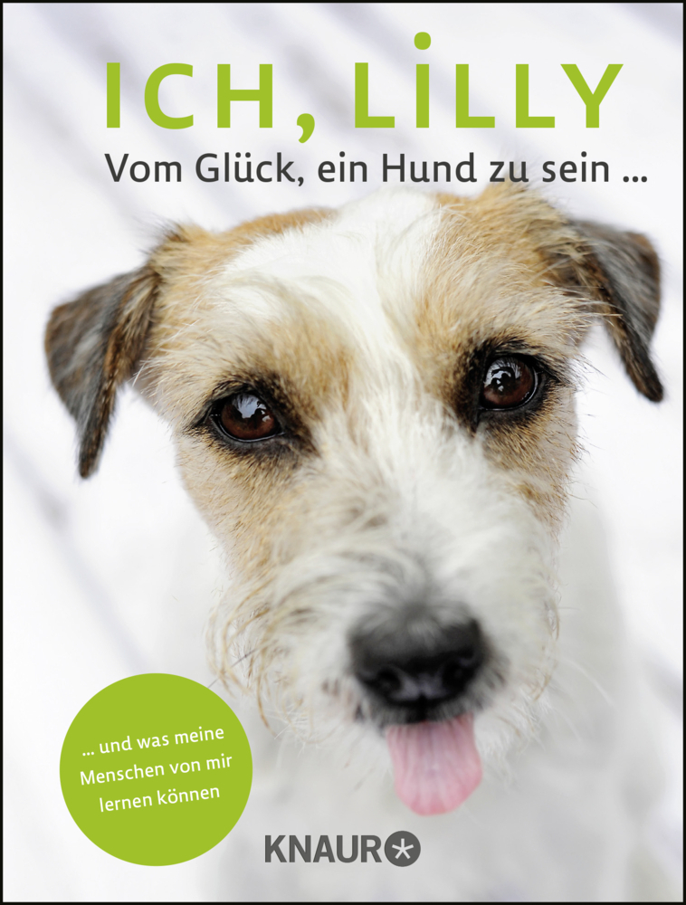 Cover: 9783426787601 | Ich, Lilly | Stefanie Reeb (u. a.) | Taschenbuch | 112 S. | Deutsch