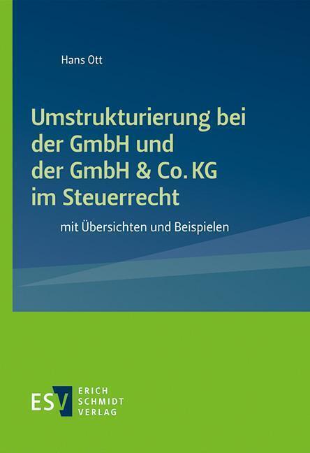 Cover: 9783503195541 | Umstrukturierung bei der GmbH und der GmbH &amp; Co. KG im Steuerrecht