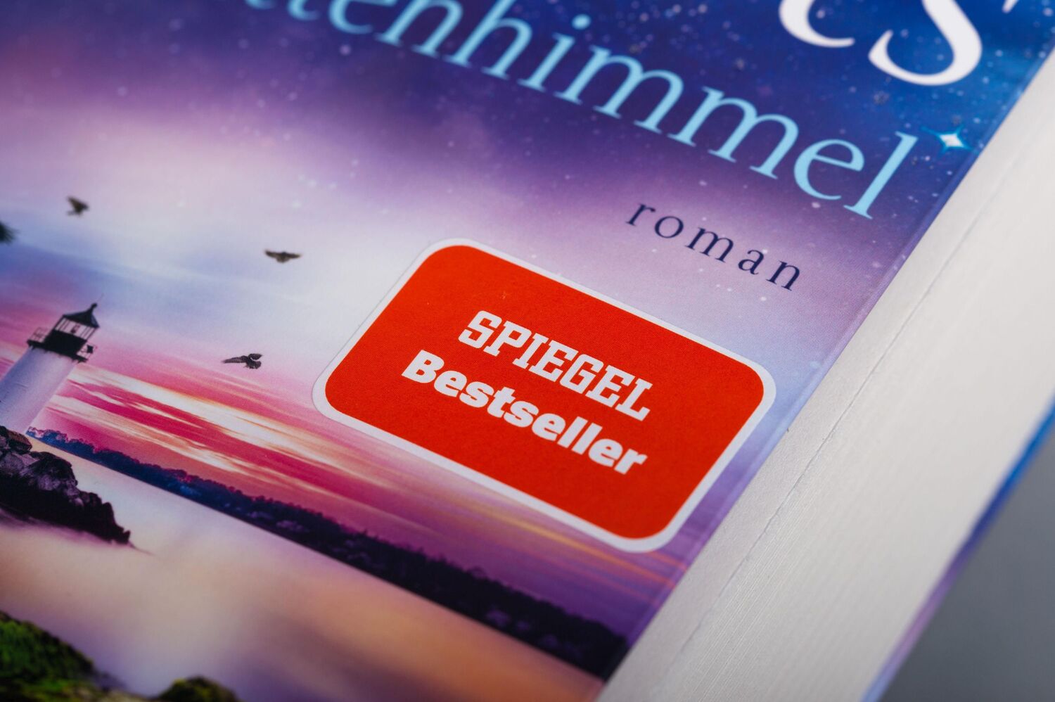 Bild: 9783453422605 | Schattenhimmel | Schatten-Trilogie 3 - Roman | Nora Roberts | Buch