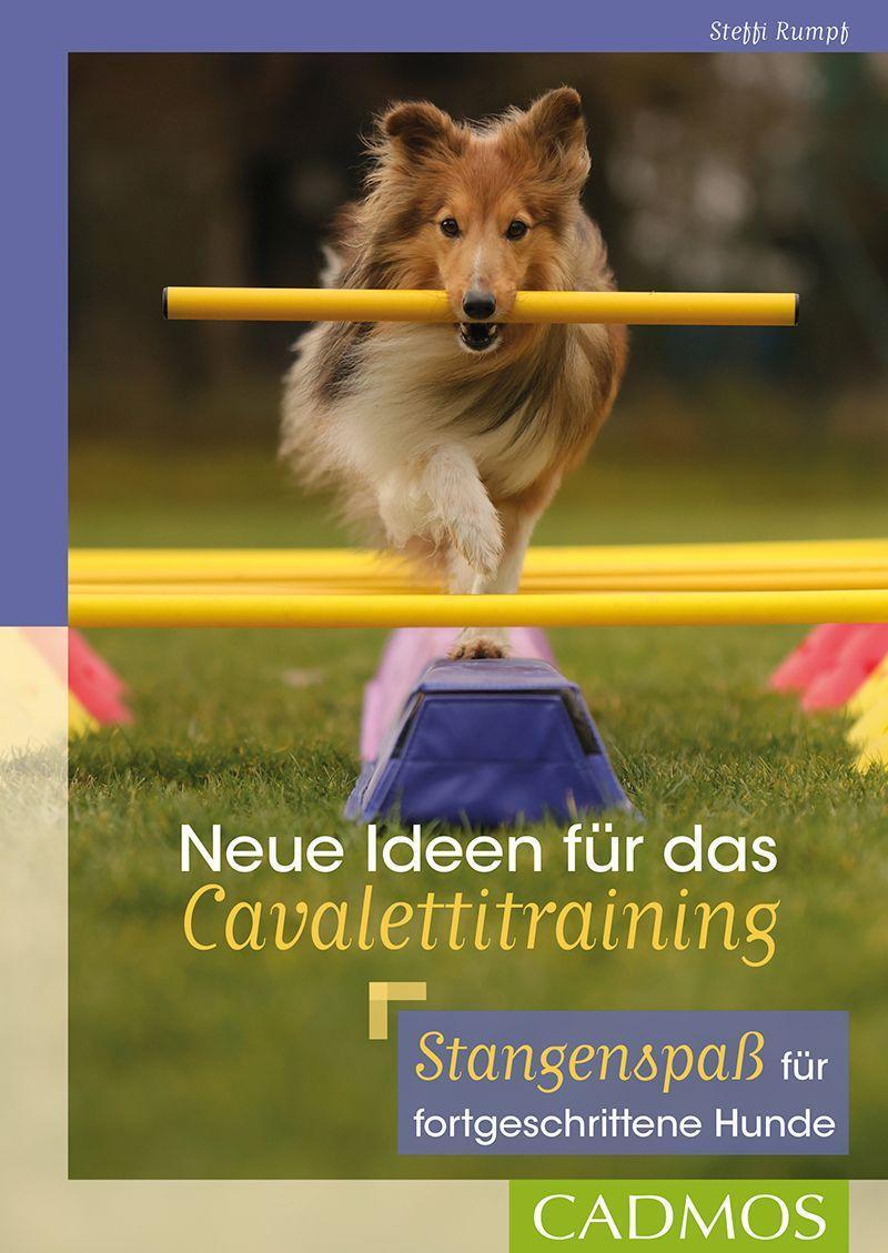 Cover: 9783840420689 | Neue Ideen für das Cavalettitraining | Steffi Rumpf | Taschenbuch